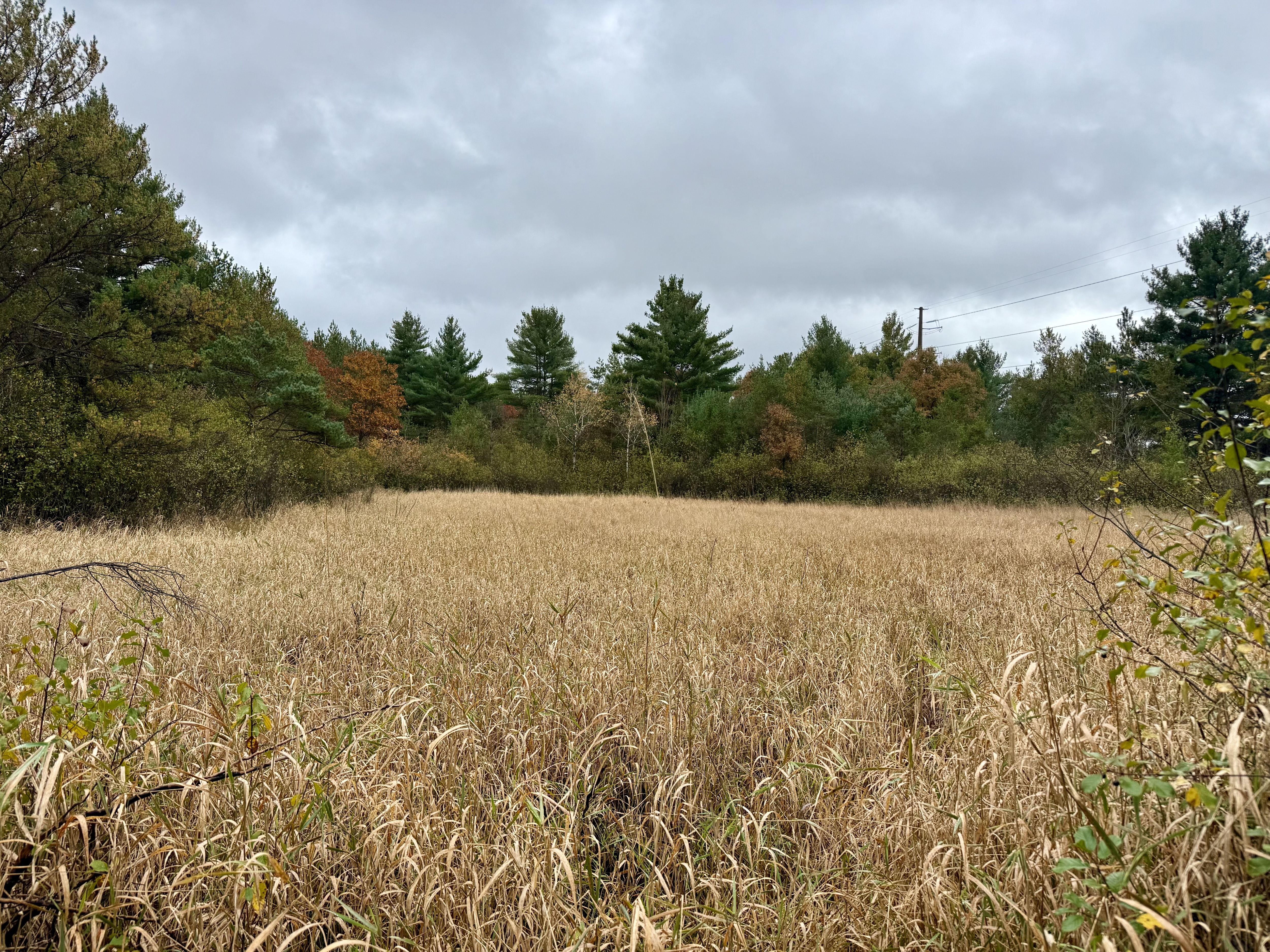 Listing Photo: Photo Oct 21 2025, 1 06 59 PM